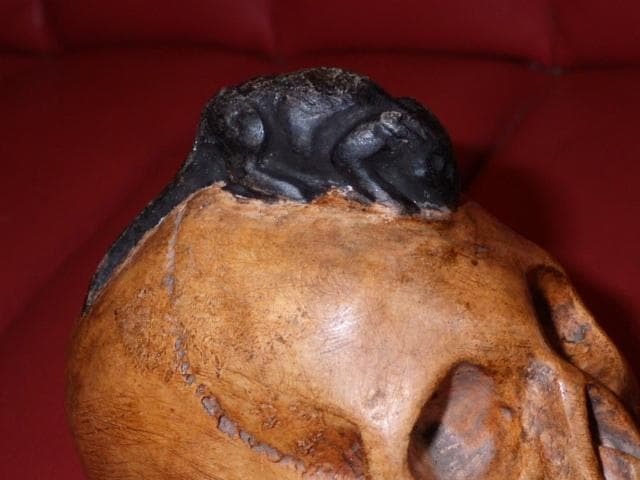 ビンテージ★スカルオンブック★ドクロ★ガイコツ★アート★置物★インテリア★ネズミ