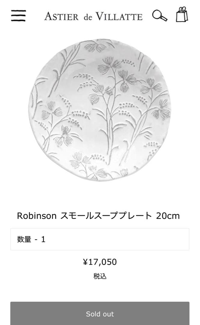 スーププレート2枚　アスティエドヴィラット　Astier de Villatte