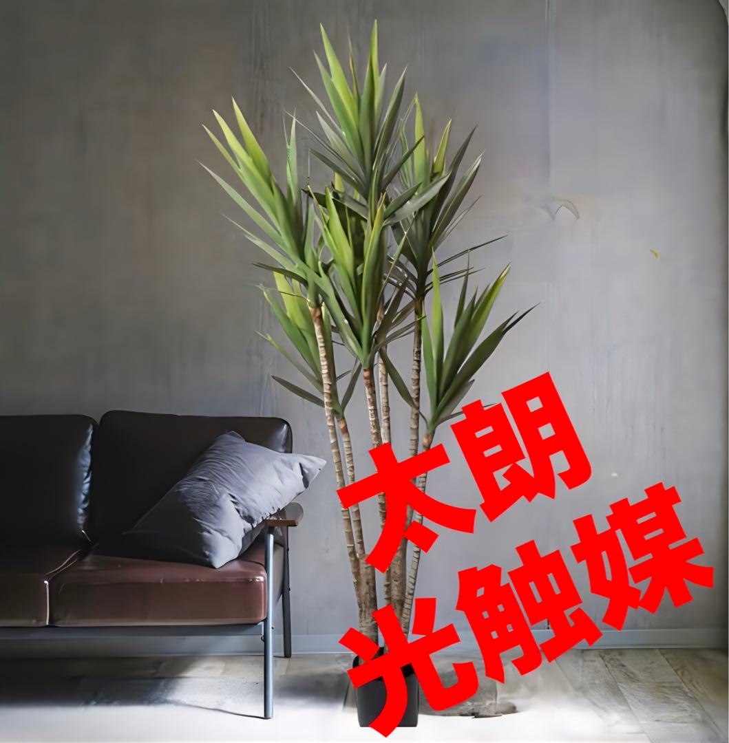 光触媒　人工観葉植物　ウォールグリーン　フェイクグリーン　ユッカツリーgj