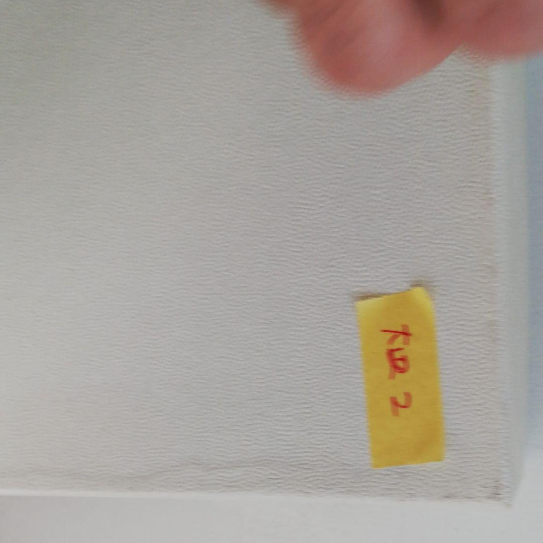 ロイヤルコペンハーゲン　ミッドサマーナイトドリーム 　29.5cmプレート