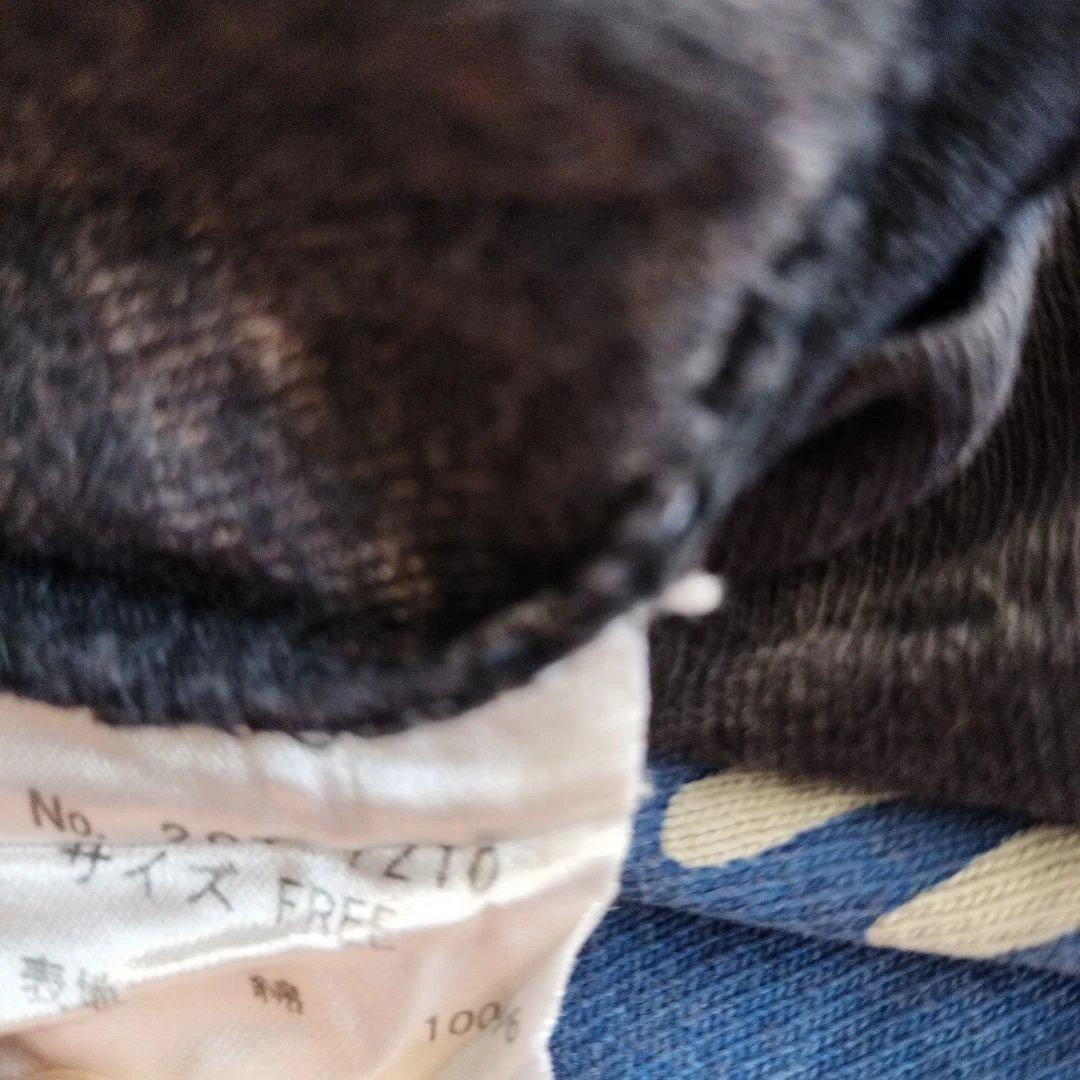 HYSTERIC GLAMOUR グラフィックTシャツ ブラック