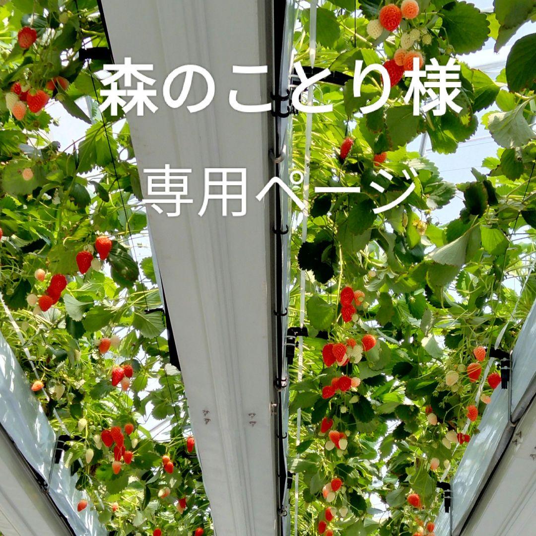 パッチワークポーチ(専用ページ)