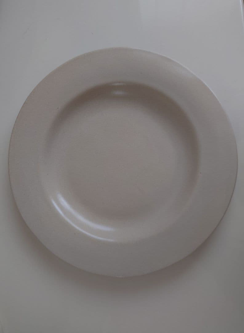 河合竜彦 貫入釉リム大皿 リム皿 器 食器