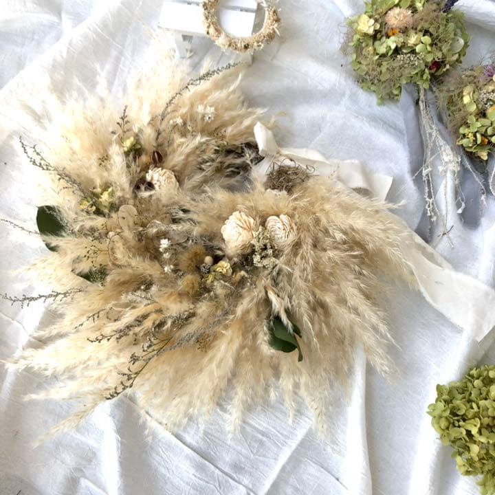 パンパスリース