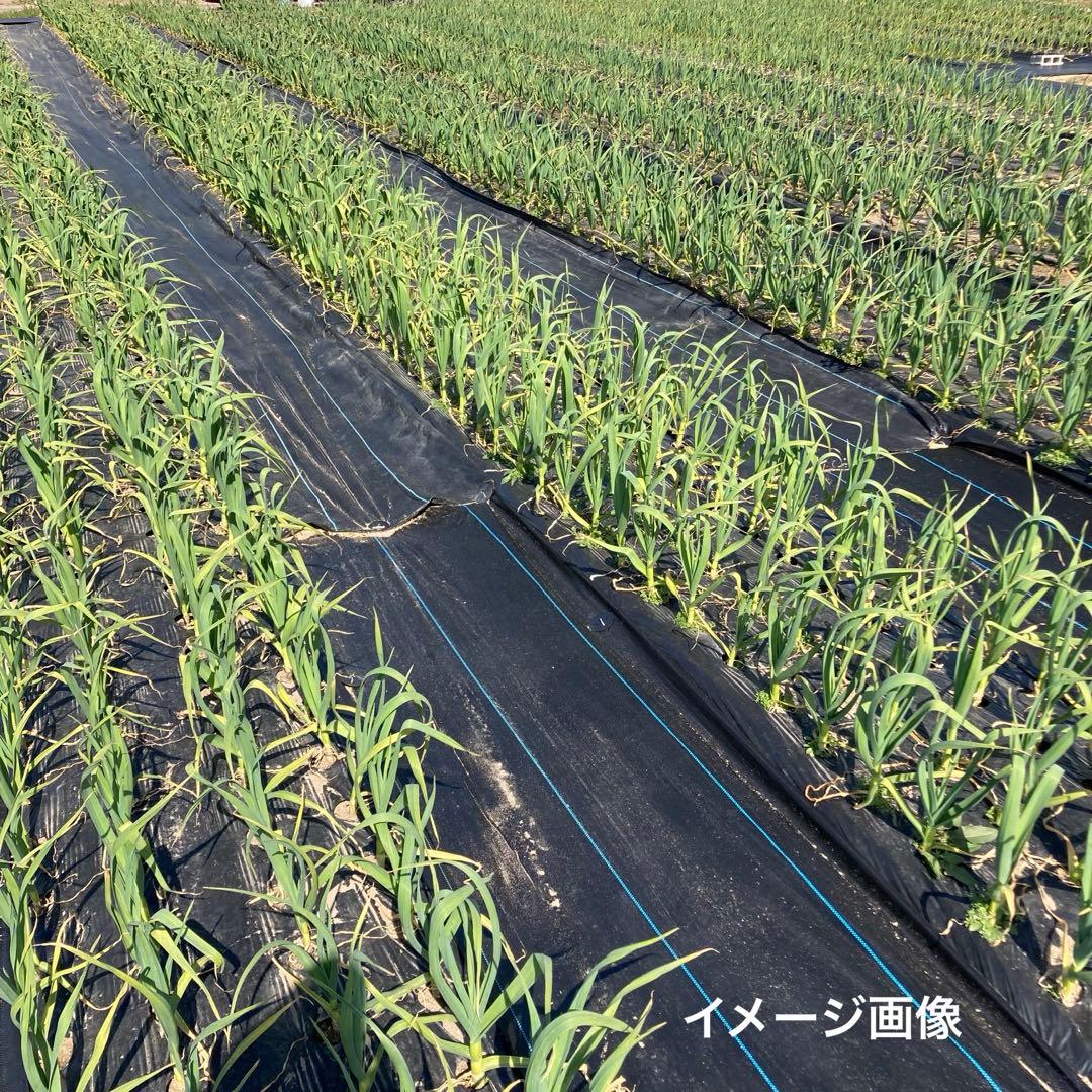 訳あり【防草シート】長さ約150m 未使用 雑草抑止 匿名発送