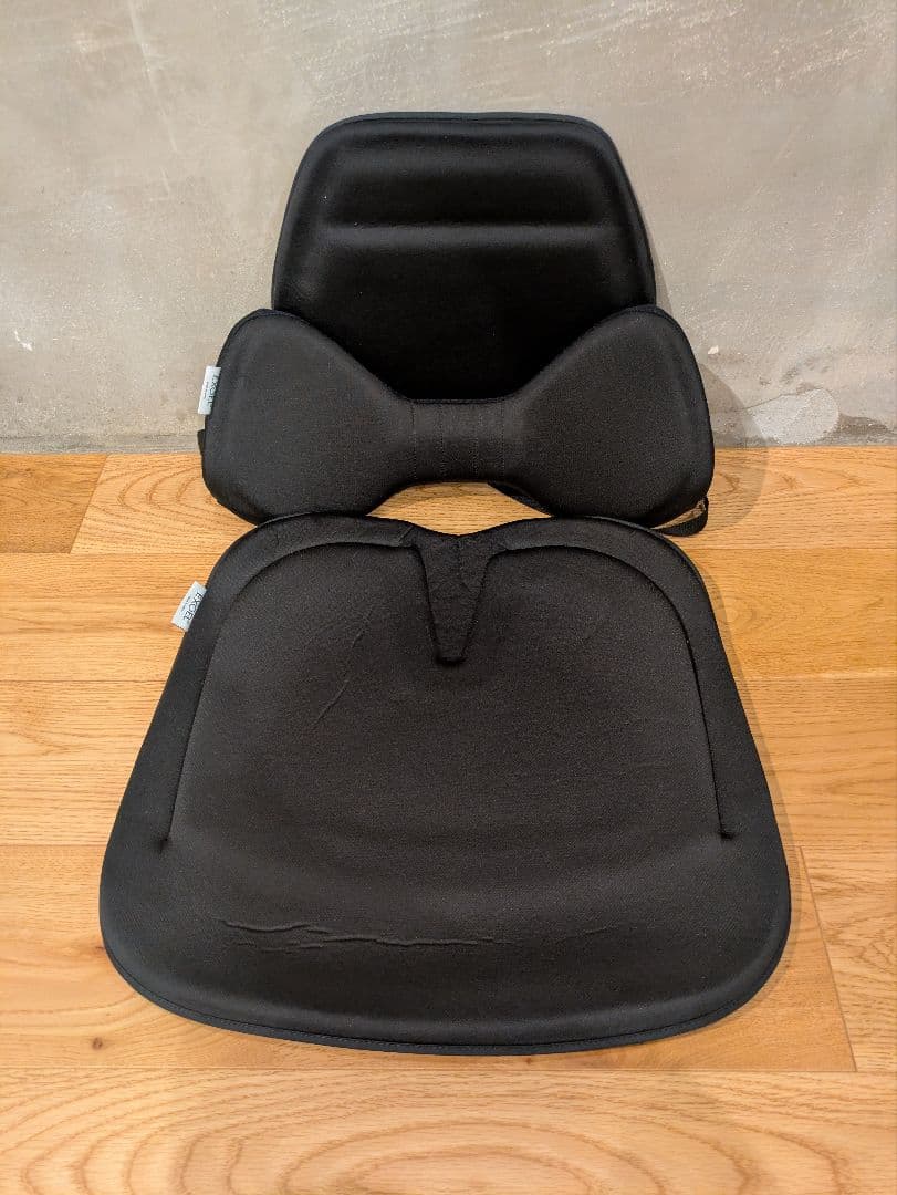 EXGEL(エクスジェル) ハグドライブバッククッション・シートクッション