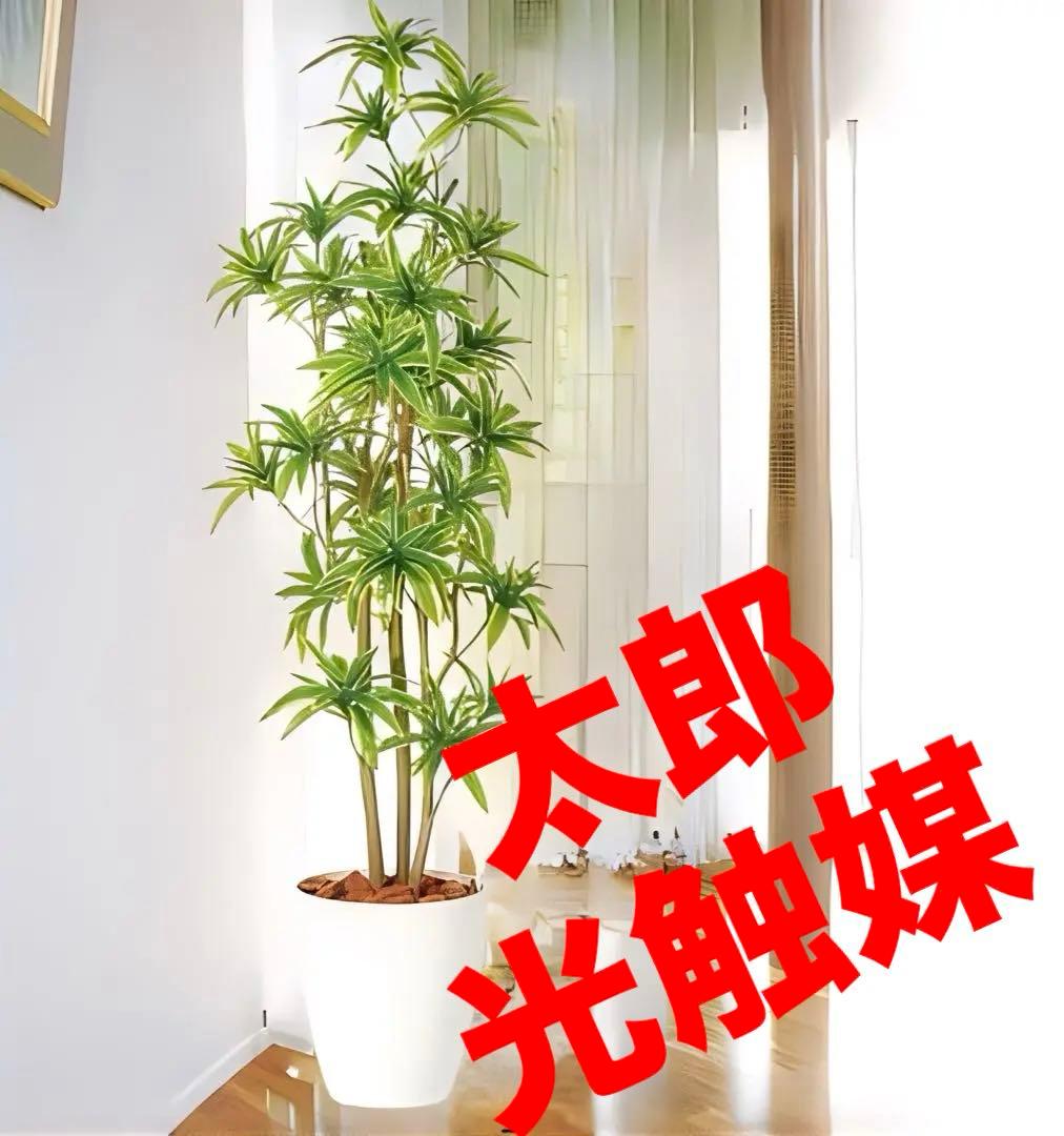 光触媒　人工観葉植物　フェイクグリーン　ソング・オブ・インディア FST 150