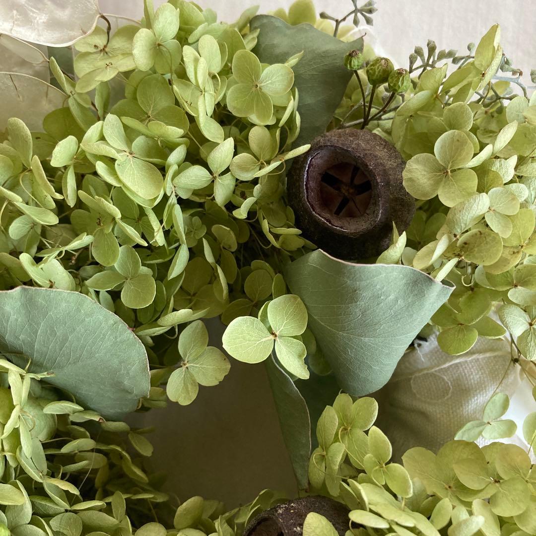 アナベルとルナリアの涼やかグリーンリース (26cm) 普通郵便