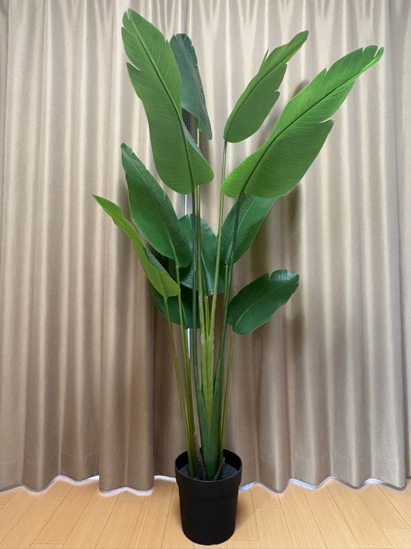 IKEA フェイクグリーン FEJKA オーガスタ