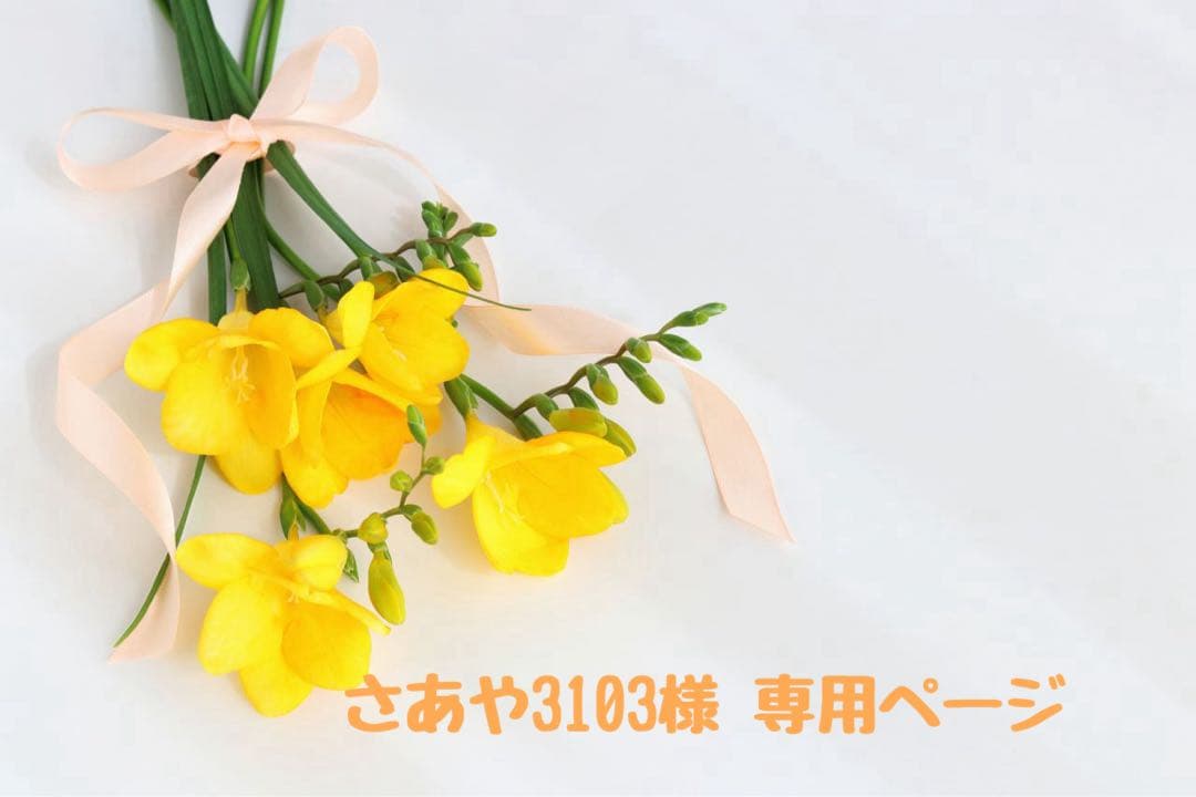 さあや3103様 ♡ 専用ページ