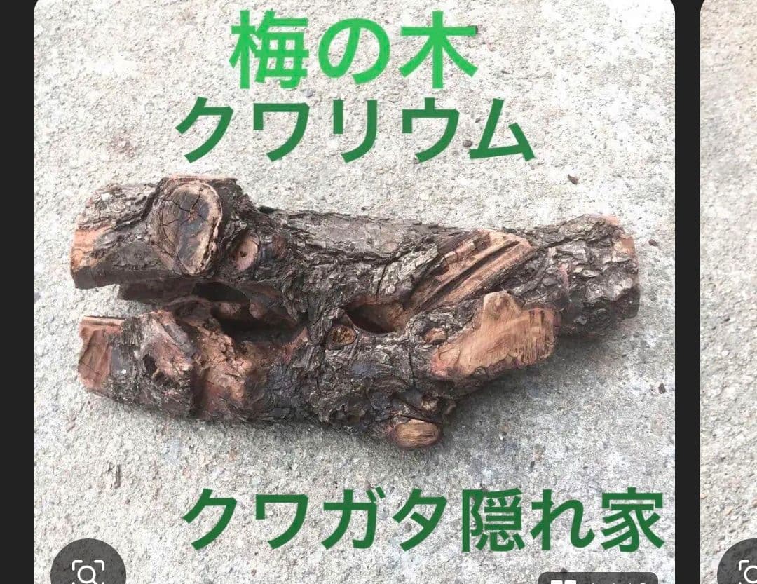 しょーきちページ