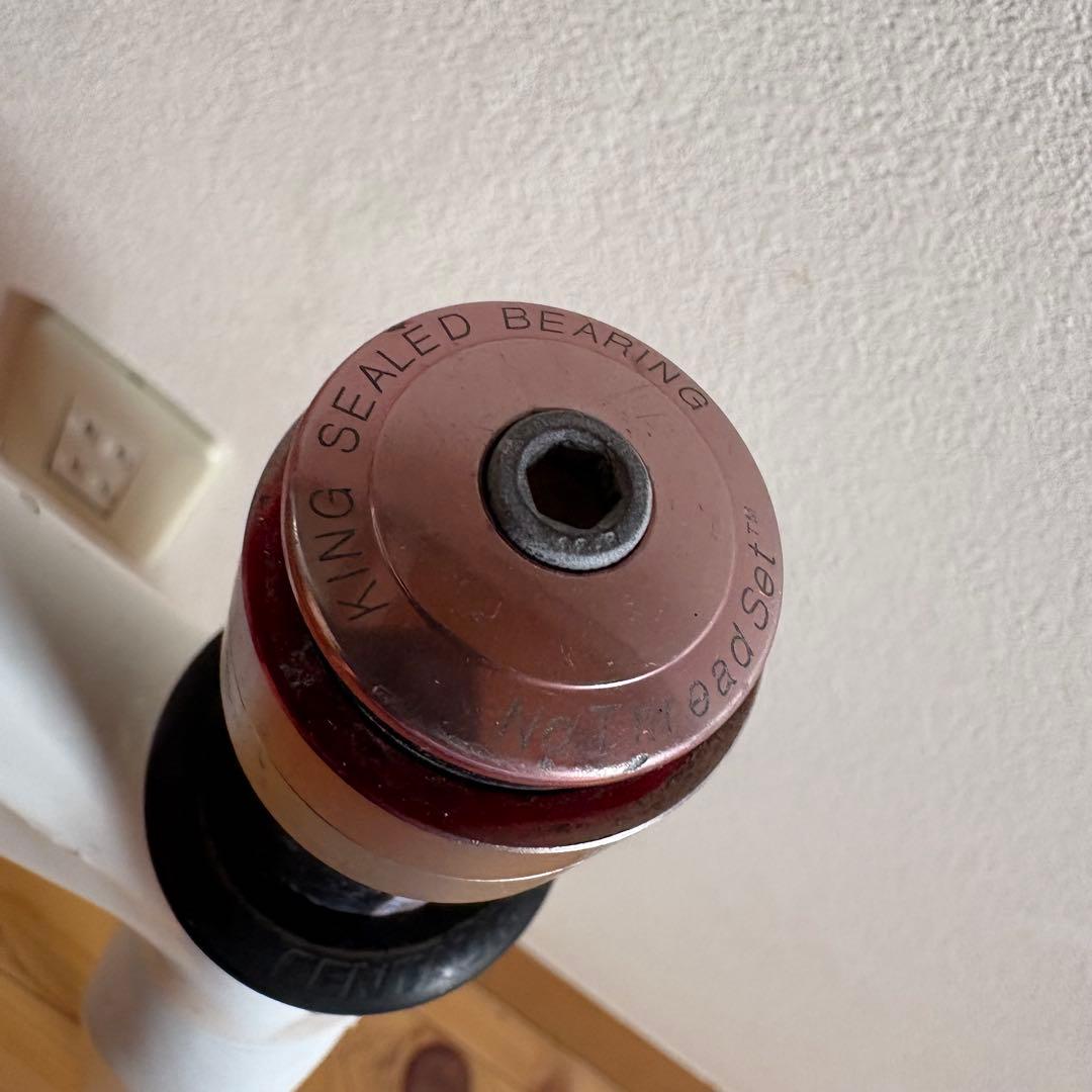 DE ROSA TEAM ロードバイクフレーム