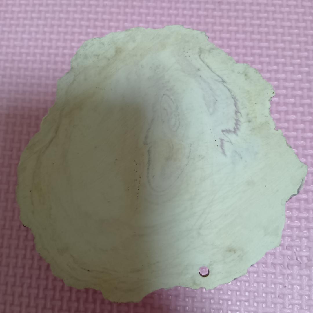 エキゾテラ　グラステラリウム3030　GEX