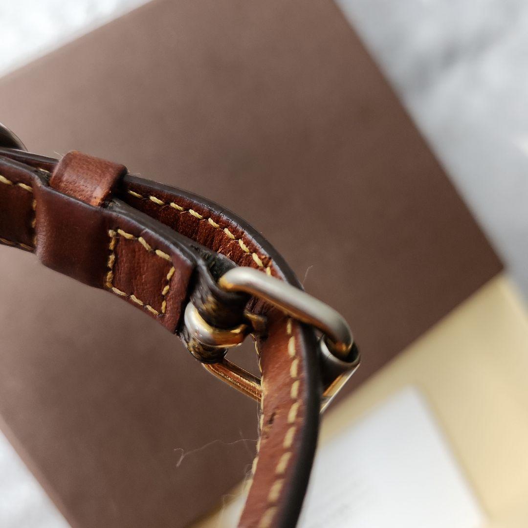 LOUIS VUITTON モノグラム首輪 箱付き