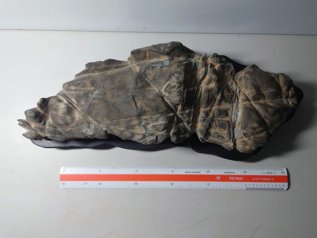 長者抹香石　静山　水石 鑑賞石