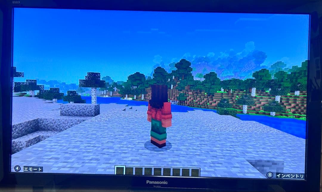 Nintendo Switch ブルー/レッド　フルセット【動作確認済み】