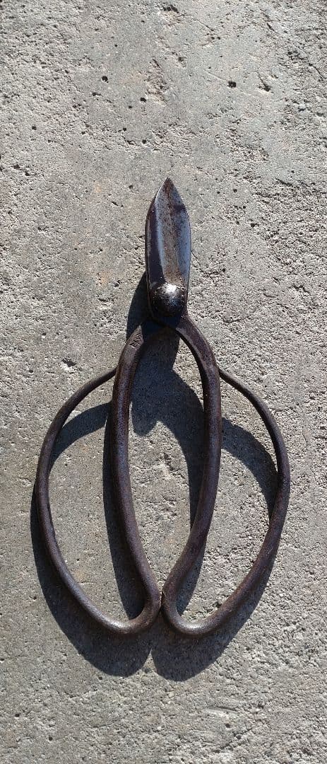 安広　大隅刃物　先代　ハサミ