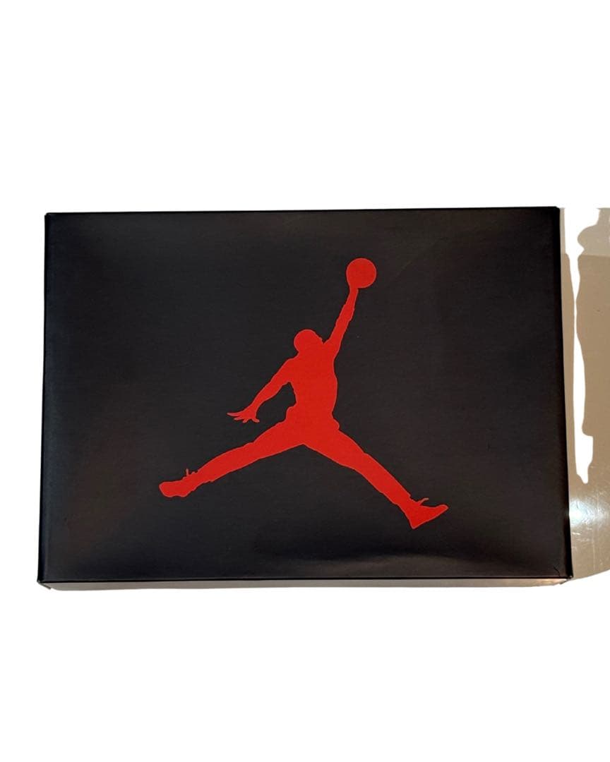 Air Jordan 3 Black Cat 28cm 【国内正規品】黒タグ有