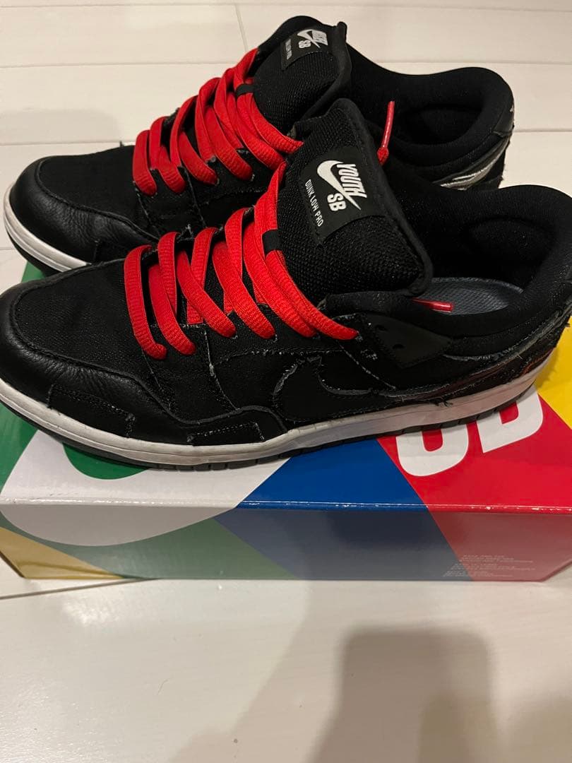 Wasted Youth × Nike SB Dunk Low 27㎝
