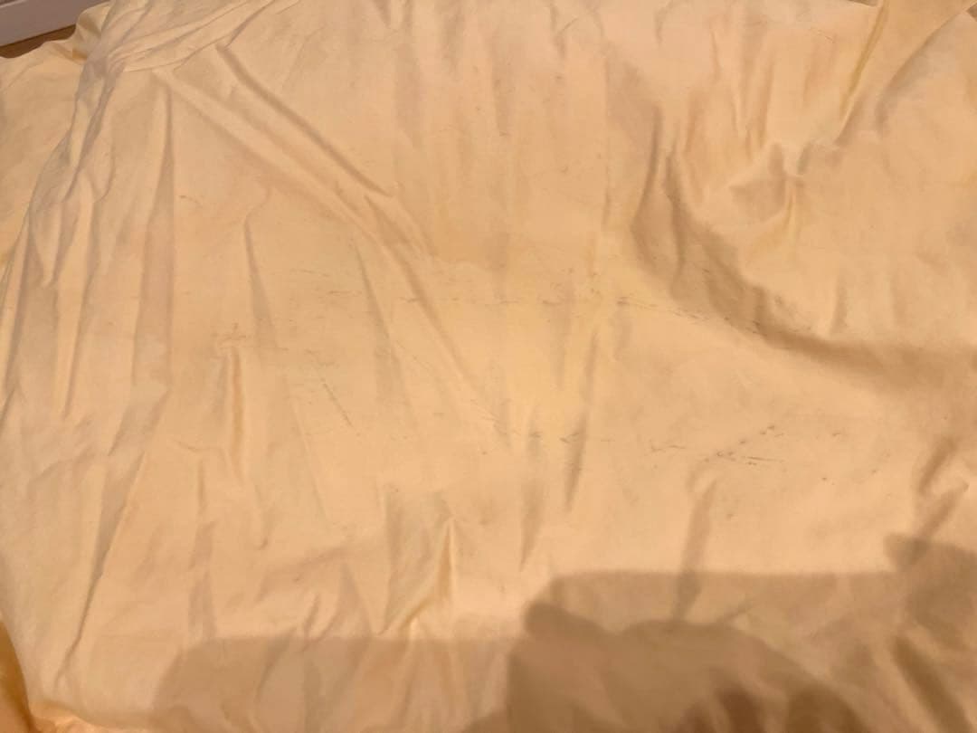 ポーランド産 ダウン90% 2枚合わせ ＋羽毛工房リフォーム品　合計2セット