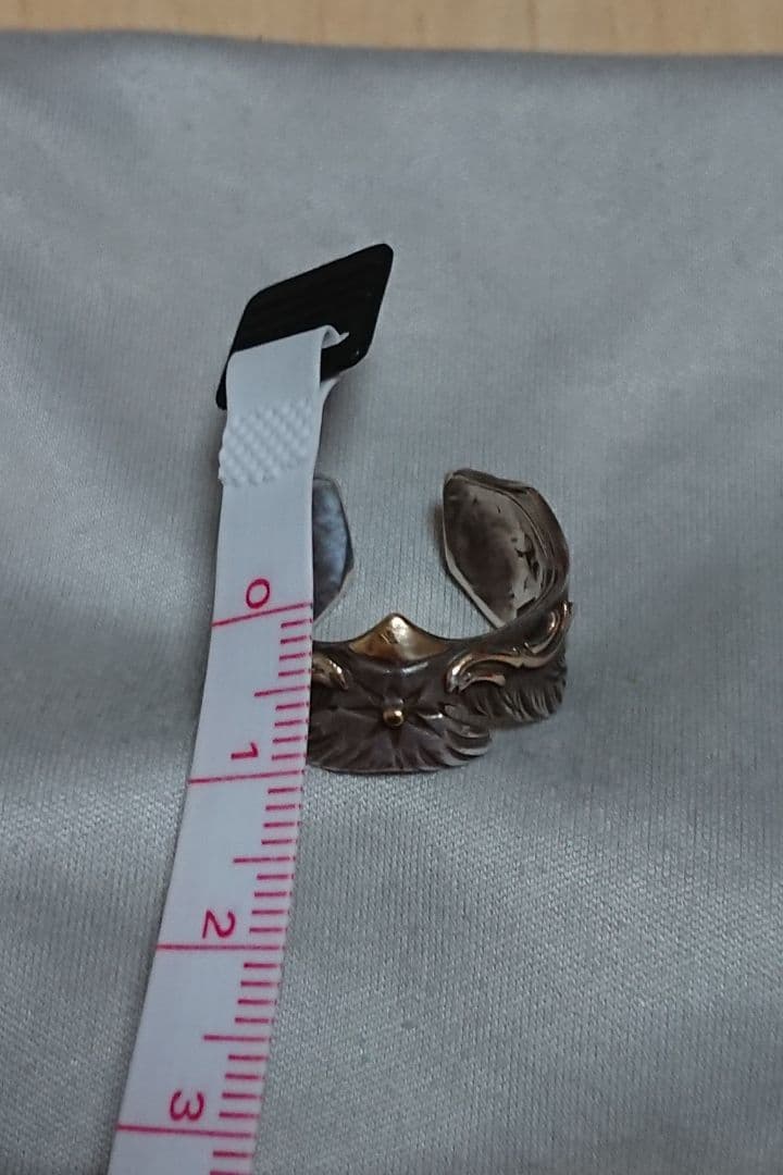 ビッグハンド フルオーダーメイド シルバーイーグルリング