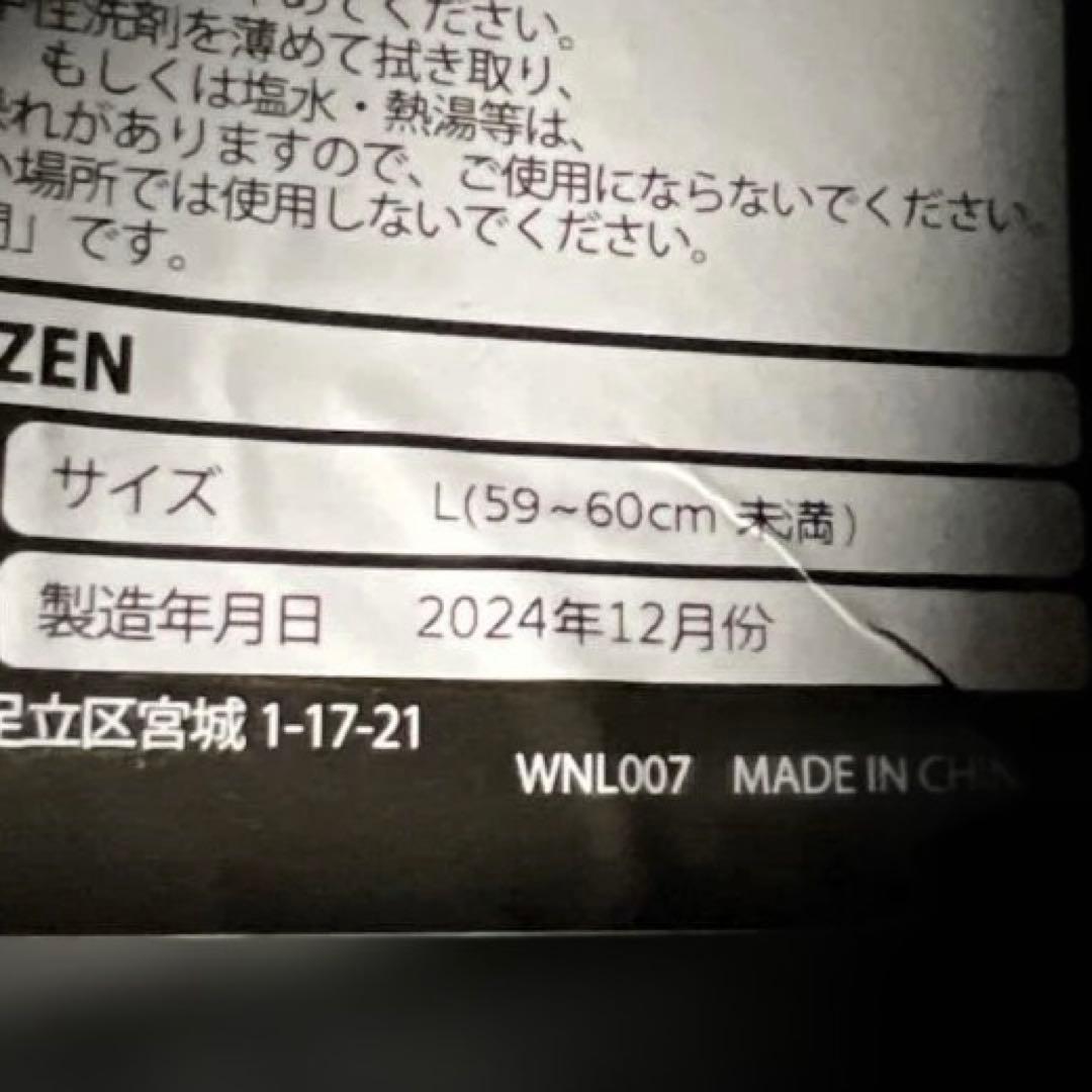 リード工業 REIZEN レイゼン システムヘルメット L マットブラック SG