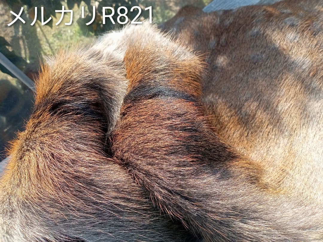 天然日本鹿毛皮 ブランケット 自然な毛並み