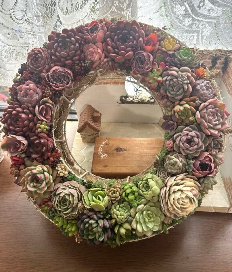 ❤️多肉植物そのまま飾れる❤️グラデーションリース❤️アイアンリース大きめ約35㎝
