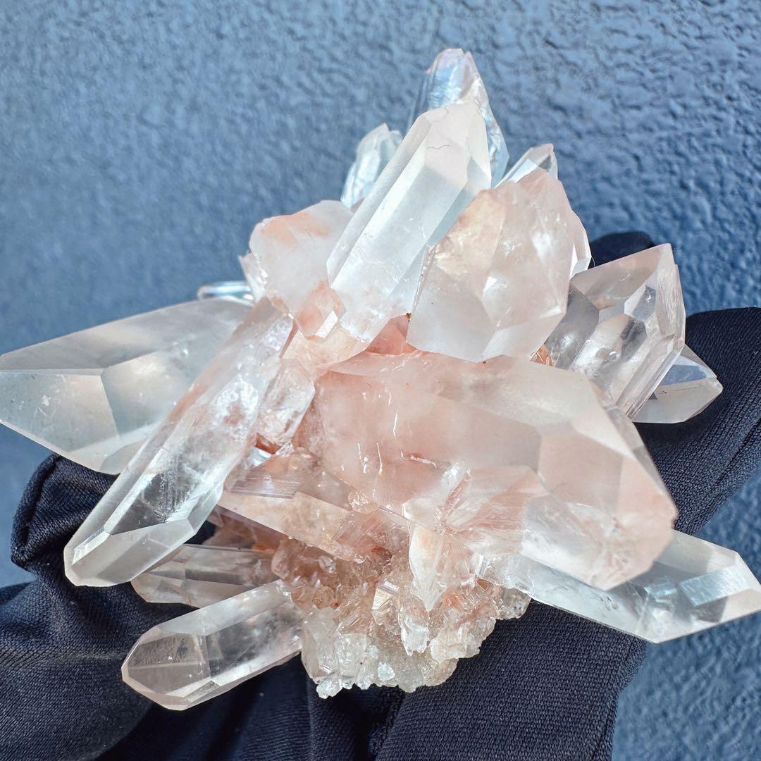 ぽんぽん♪　ヒマラヤクラスター A1168、A1244、A1185