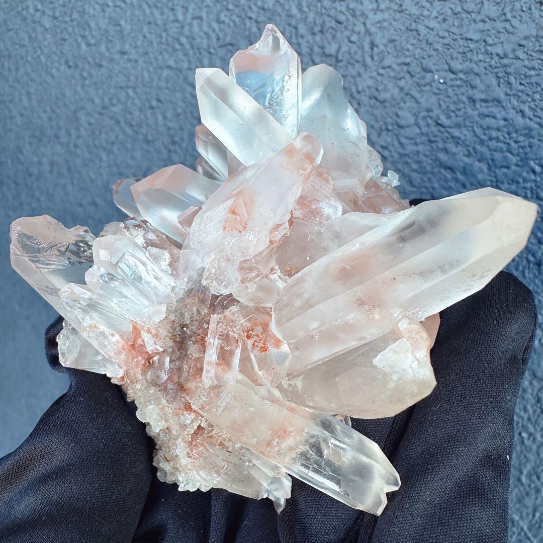 ぽんぽん♪　ヒマラヤクラスター A1168、A1244、A1185