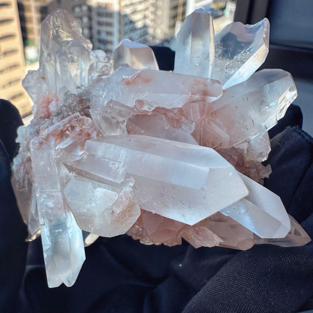 ぽんぽん♪　ヒマラヤクラスター A1168、A1244、A1185