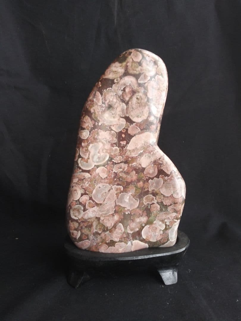 梅花石　磨き仕上げ　鑑賞石　置物　NO.377