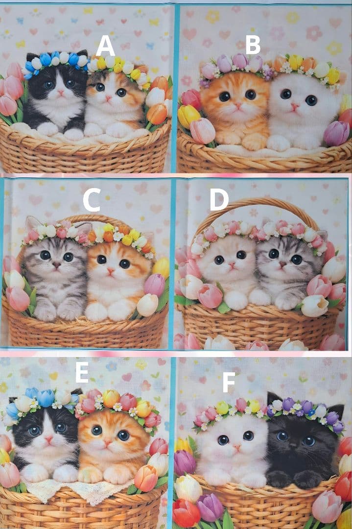 オーダー用在庫パネル♥️可愛い猫1月29日ハンドメイド品