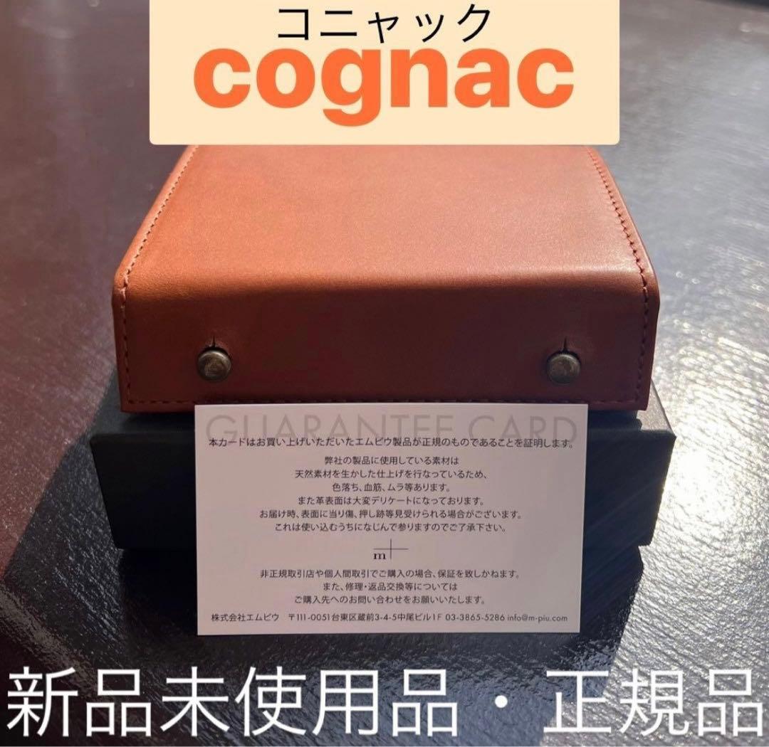 T*n様 【即購入◎】新品・稀少m+エムピウ ミッレフォッリエII　P25 コニ