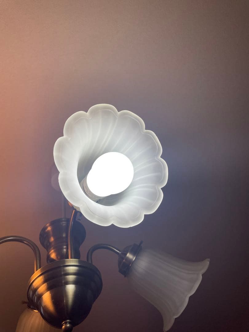 フラワー型シェード 4灯シーリングライト