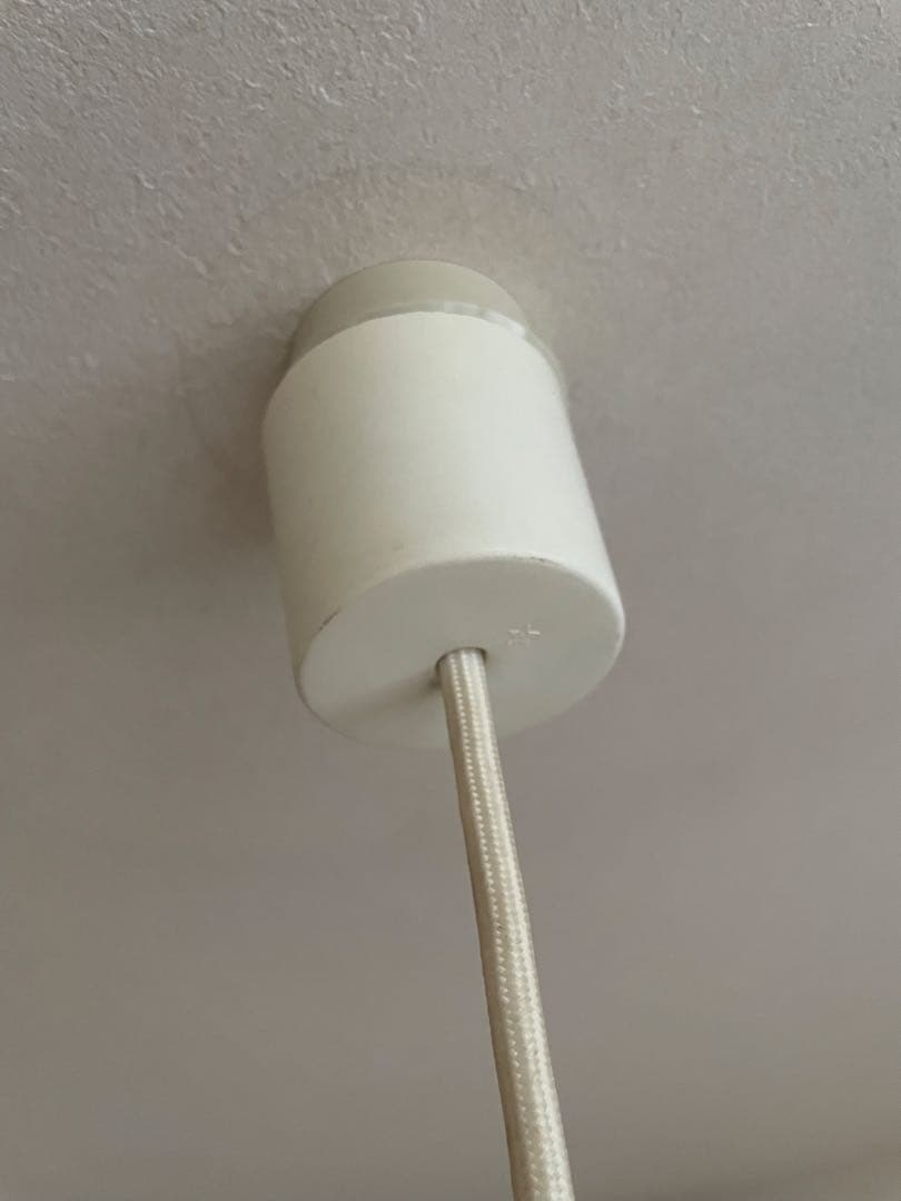 フラワー型シェード 4灯シーリングライト