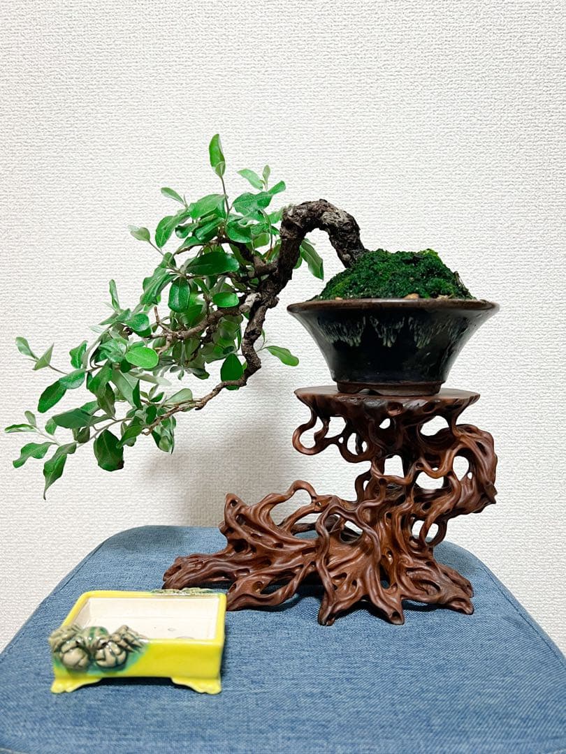 流木風 木製盆栽スタンド 植木台のみ Bonsai Stand Pot