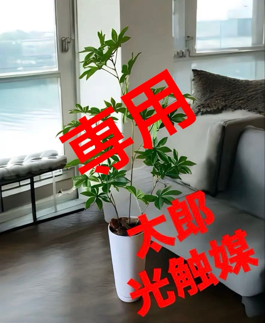 光触媒　人工観葉植物　ウォールグリーン　フェイクグリーン　サバンナバオバブ