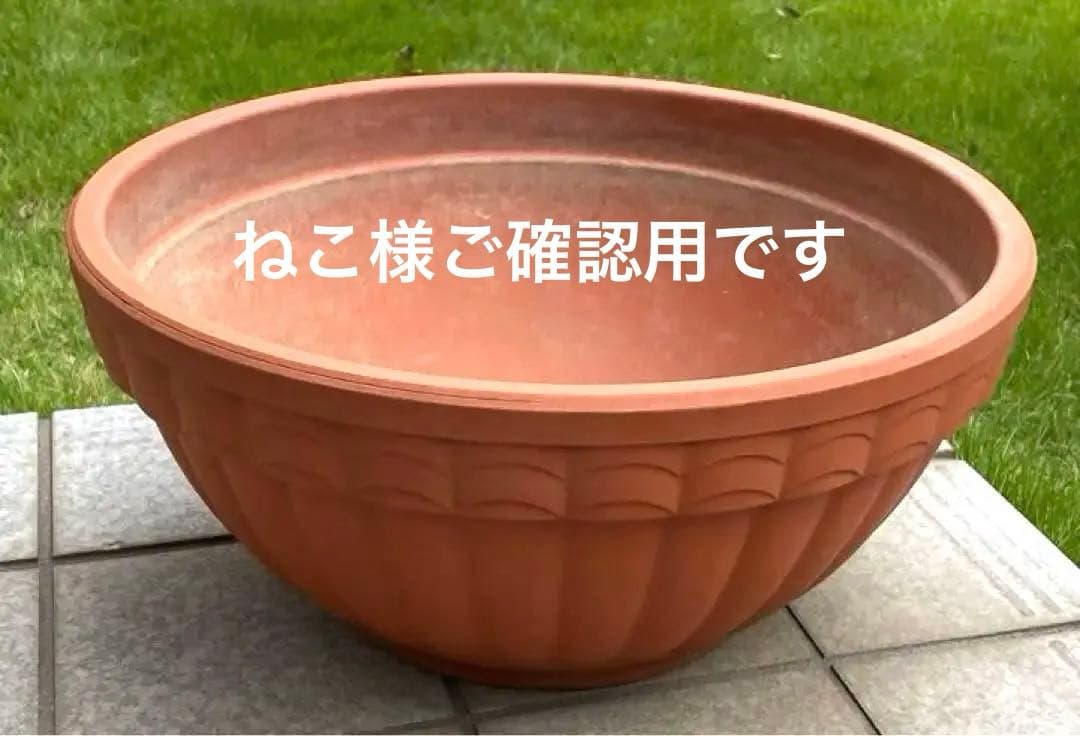 浅型テラコッタ 大きめ 丸鉢 ガーデニング 寄せ植え 植木鉢