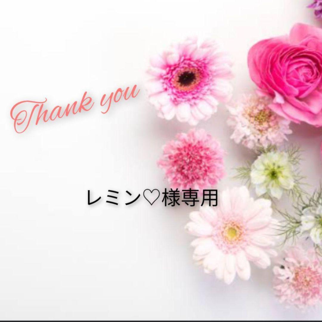 レミン♡　SALE まとめ売り　LLサイズ中心