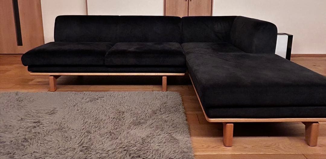 冨士ファニチア　NOVO 2p ソファ