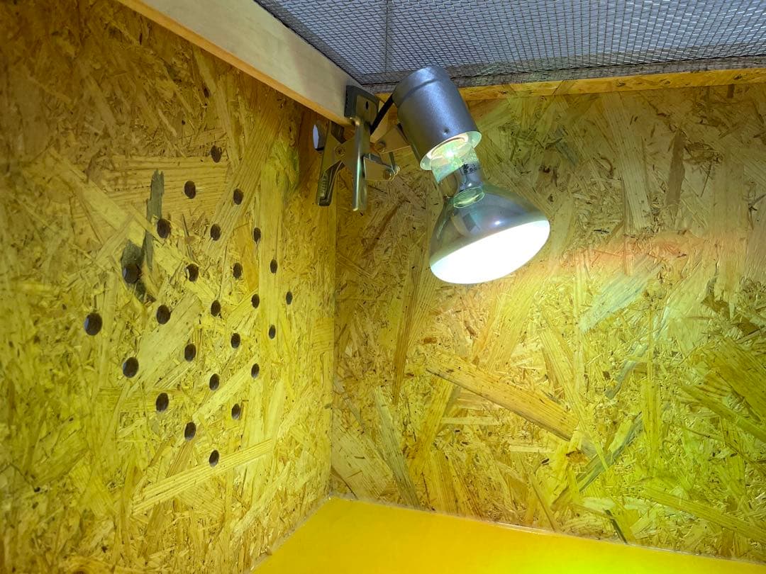 爬虫類ケージ　爬虫類飼育ケージ　90ラック用サイズ　天井金網仕様