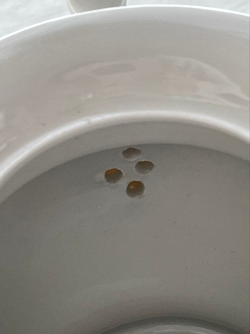 御成約　[3304] [3280]