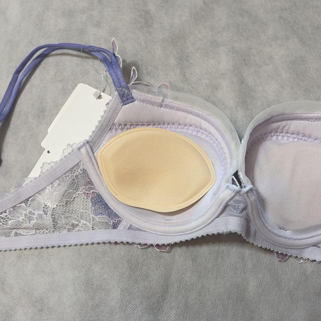 【専用】ワコール　パルファージュ　パーソナルフィットプラスブラ＆ソング　C65