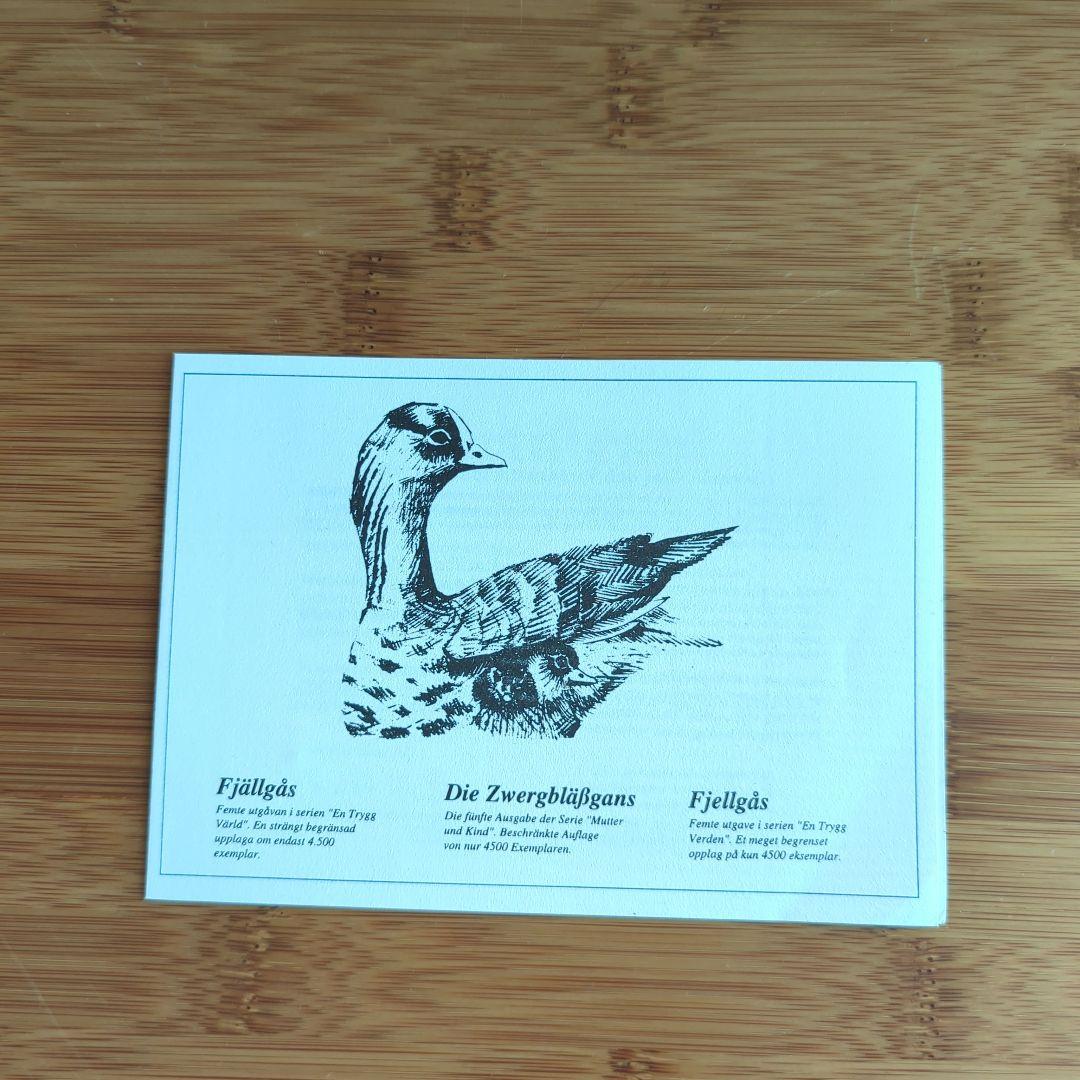 限定4500体 KOSTA BODA WWF 世界自然保護基金 　マガンの親子♪