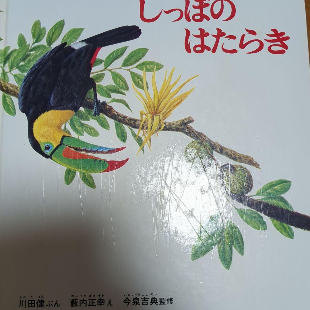 【3〜6歳】　くもん推薦図書　福音館書店　絵本　34冊　まとめ売り　E30