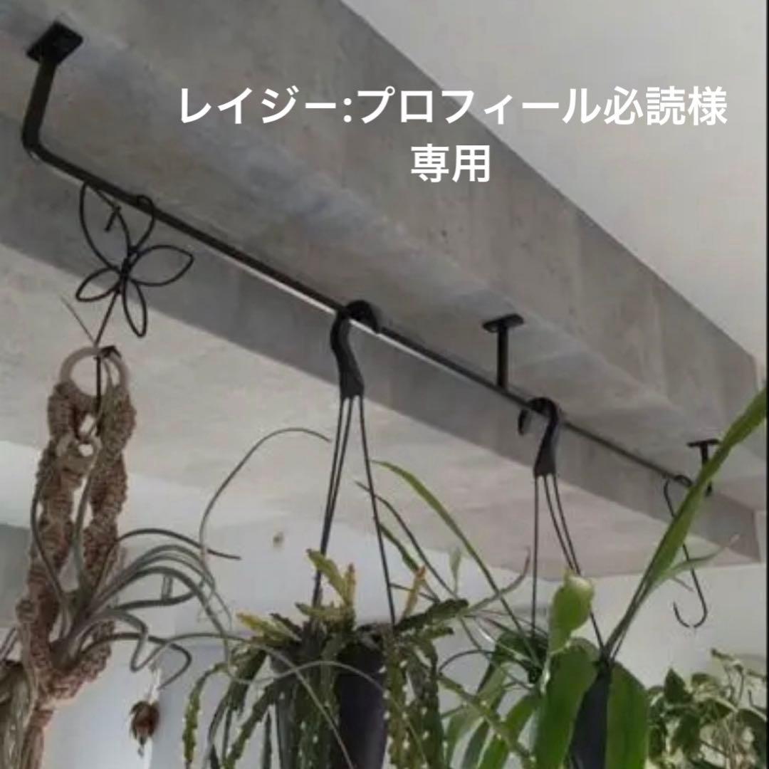 レイジ－:プロフィール必読