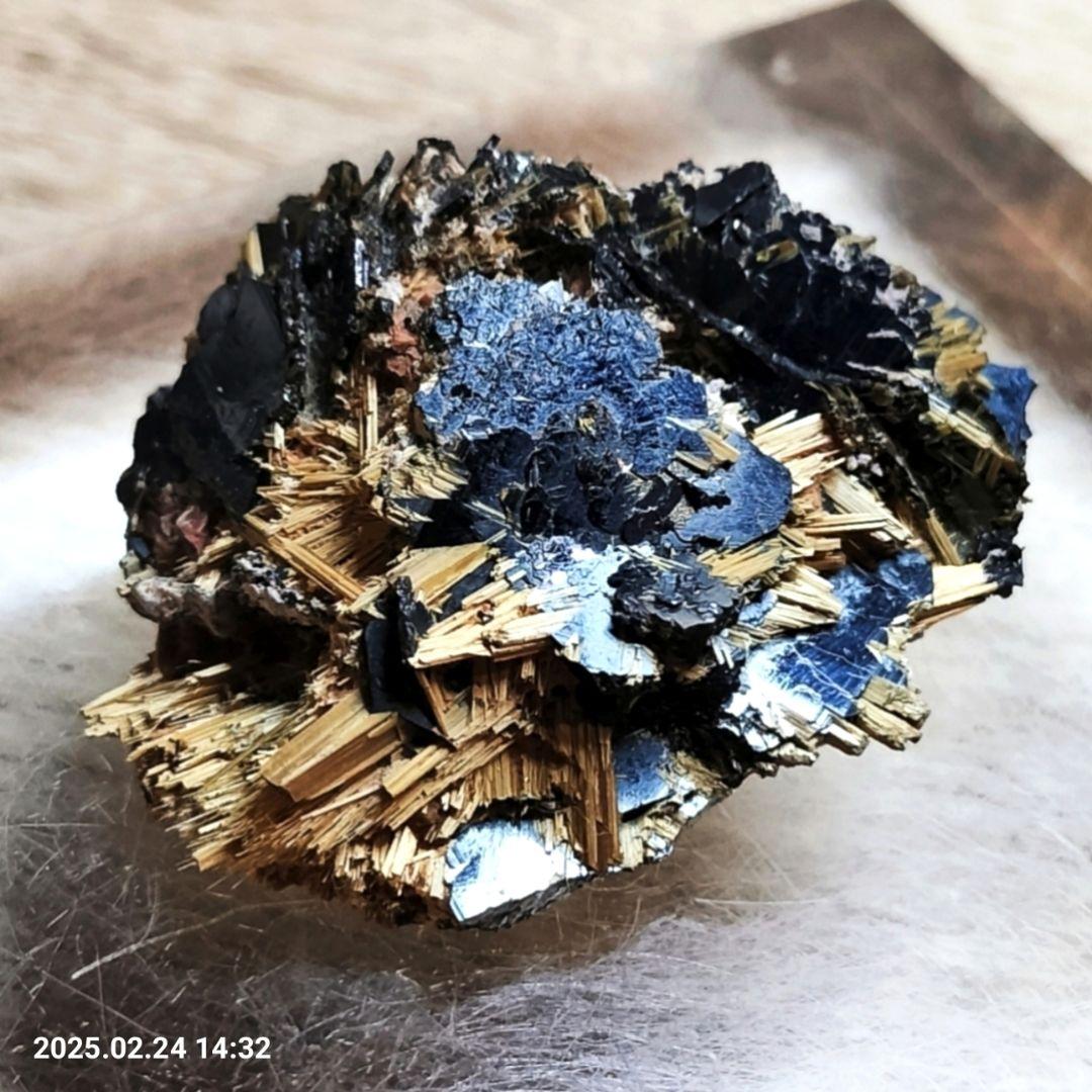 りな フォロー・リピート割引適用価格