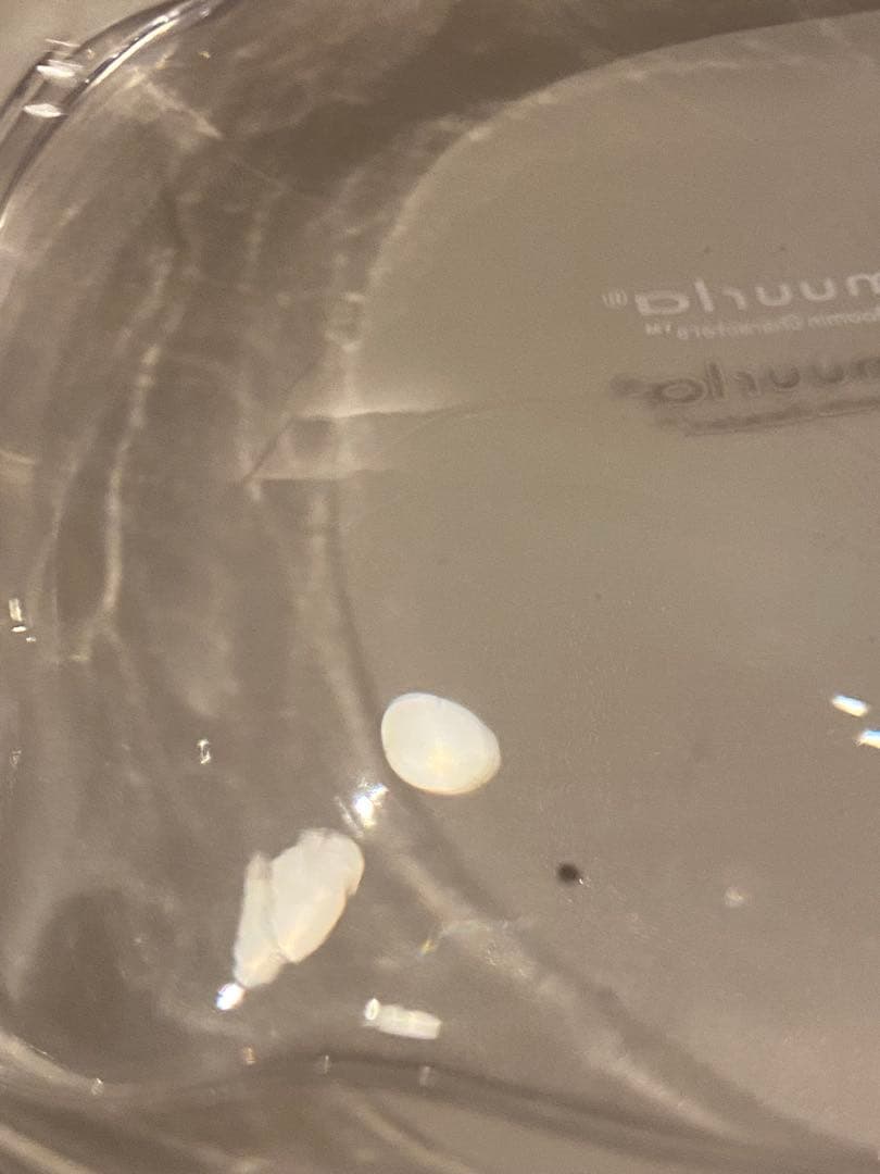 MOOMIN モラン ガラスジャー muurla