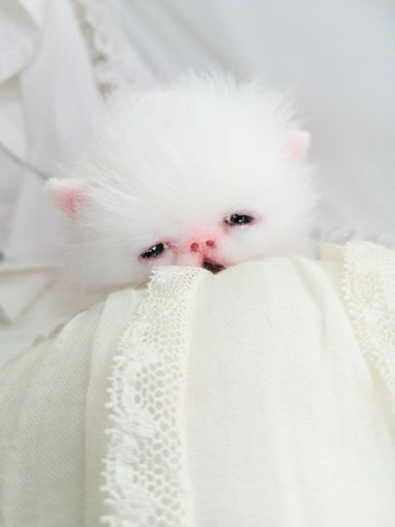 お世話セット♡なき虫子猫ちゃん♡お腹ぽっこり♡アートドール♡ぬいぐるみ♡